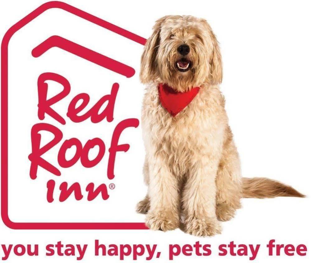 Red Roof Inn بورتلاند المظهر الخارجي الصورة